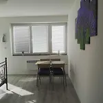 U Vody Apartament *
