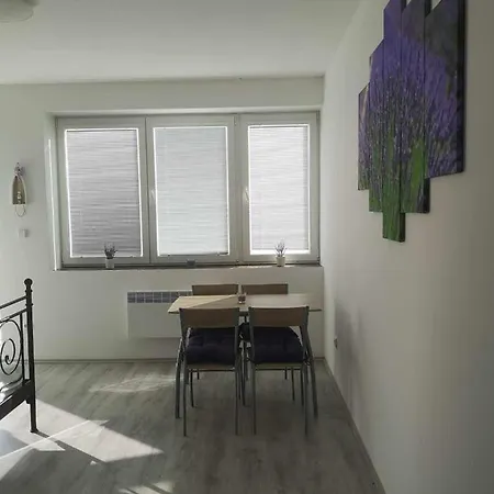 U Vody Apartment *