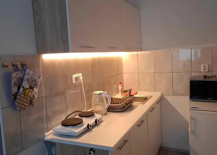 Appartement U Vody *